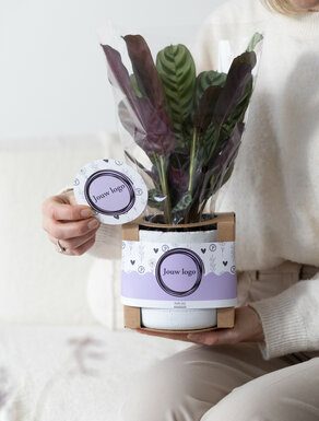 Offerte branded bedrijfsgeschenken