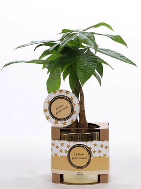 Eindejaarsgeschenken