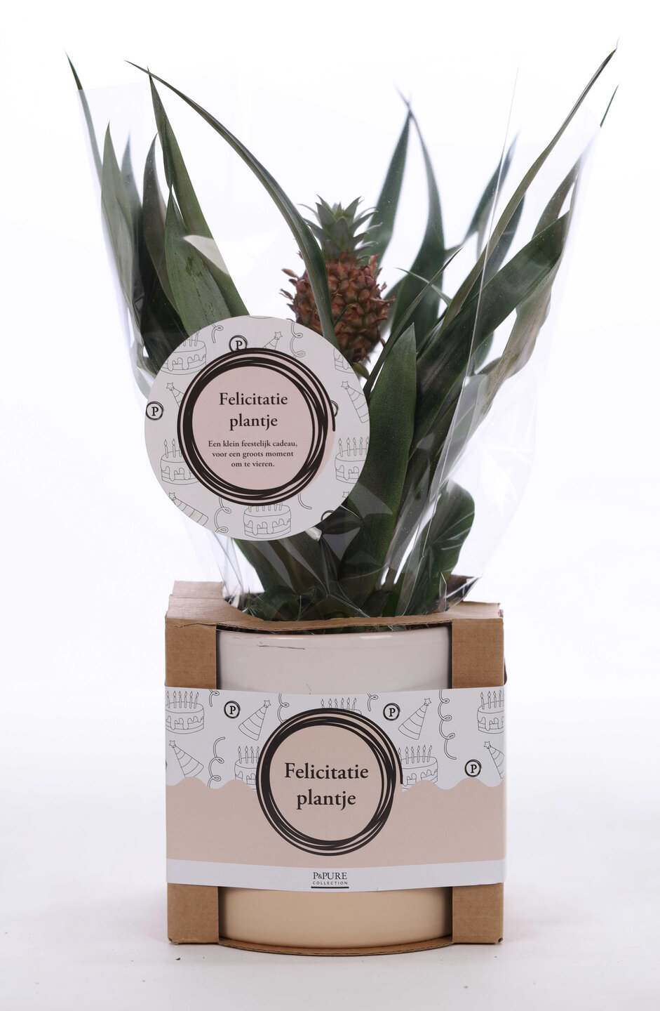 Felicitatieplantje product