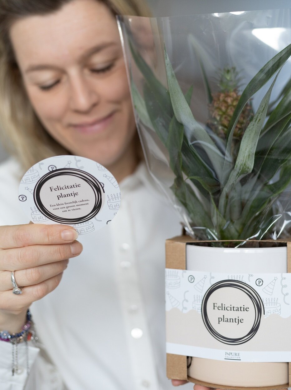 Felicitatieplantje