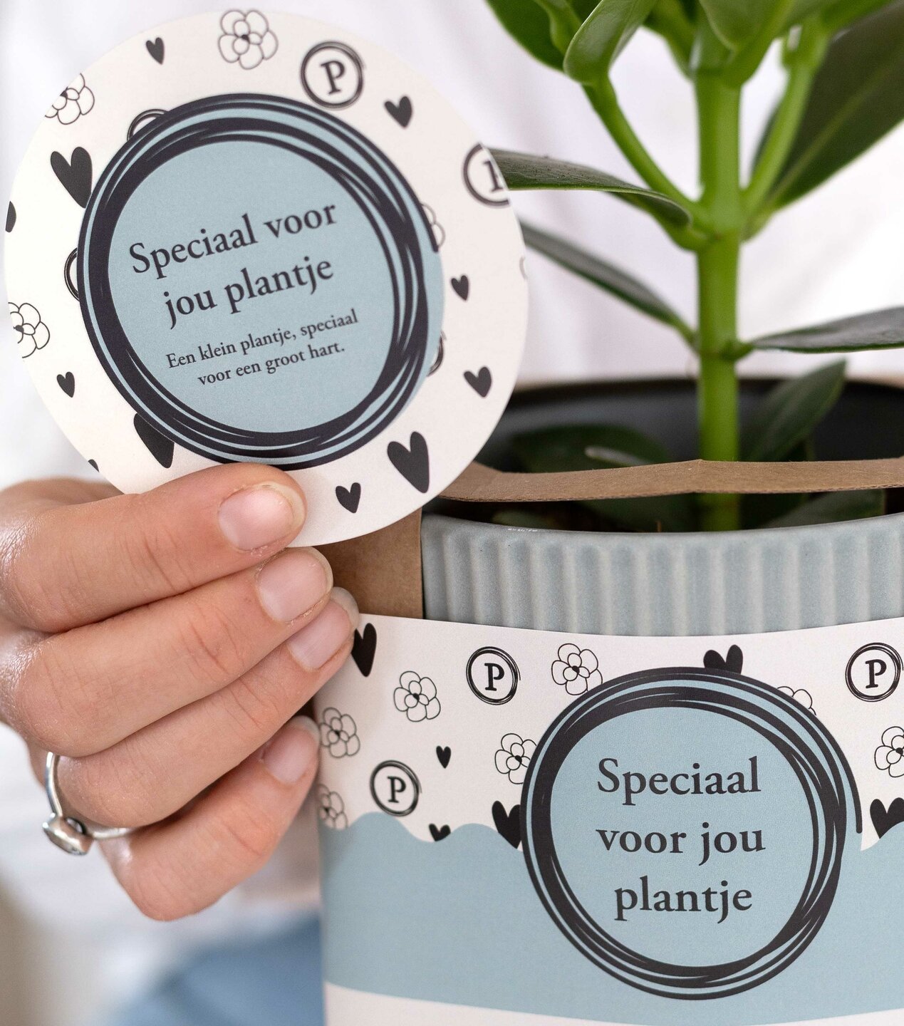 Een speciaal voor jou plantje met kaartje
