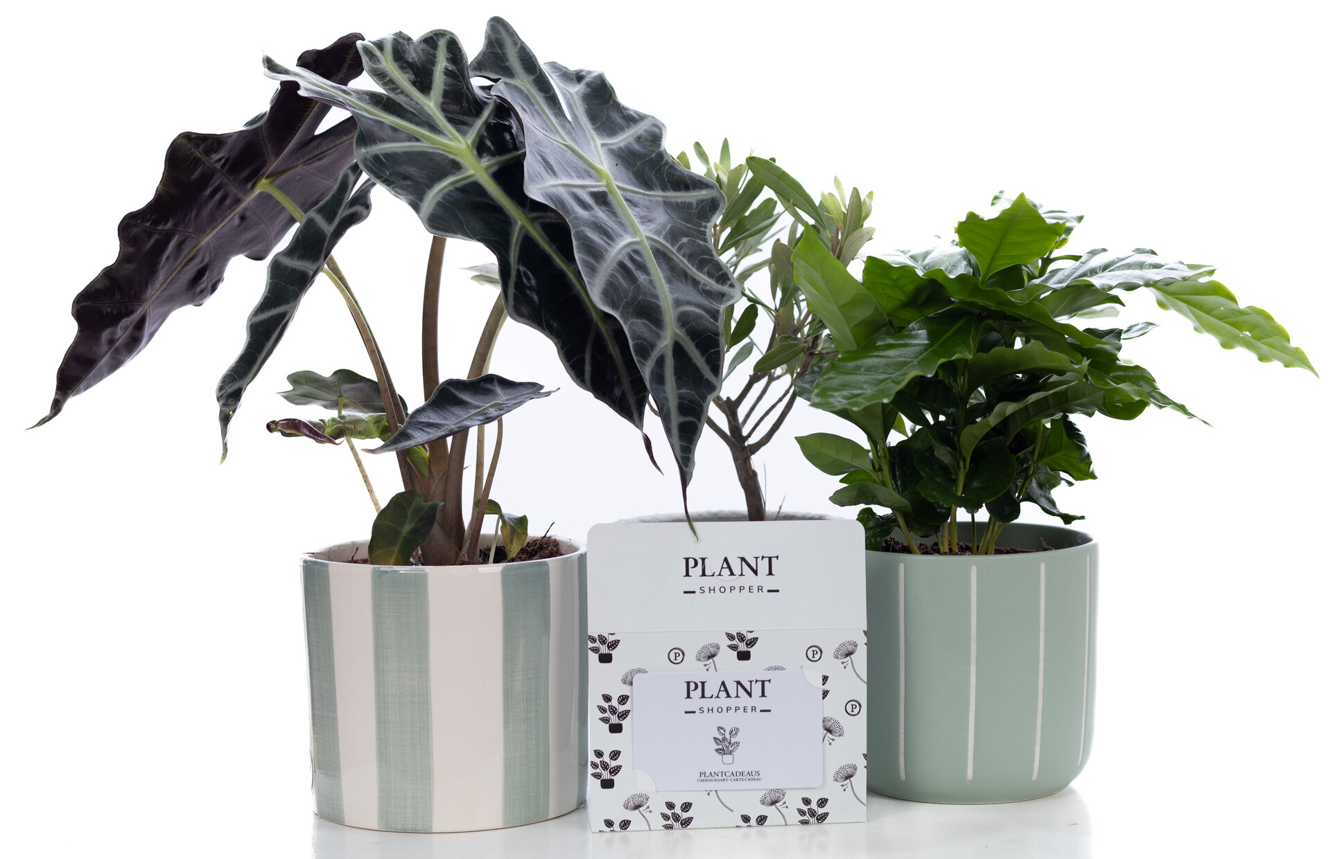 Cadeaukaart Plantshopper 25 euro