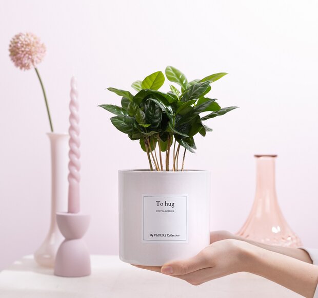 ​​​​​​​To Hug | Het cadeau om te koesteren | Bezorgen