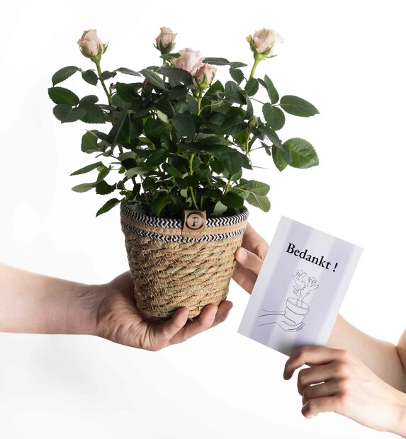 Bedankt cadeau roze roos incl. naturelle mand en kaartje