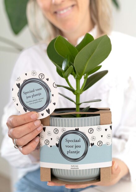 Speciaal voor jou plantje – Een groen cadeau met een groot gebaar 