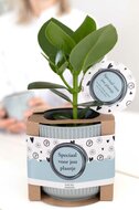 Een speciaal voor jou plantje met cadeauverpakking