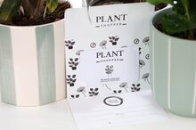 Plantshopper Digitale Cadeaukaart 20,-