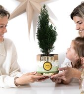 Kerstplantje cadeau