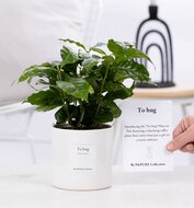 ​​​​​​​To Hug | Het cadeau om te koesteren | Bezorgen