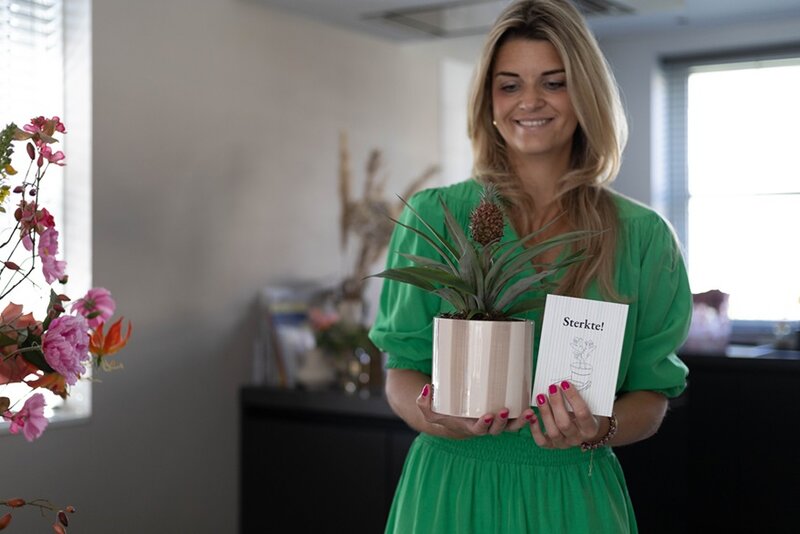 Plantshopper Afbeelding