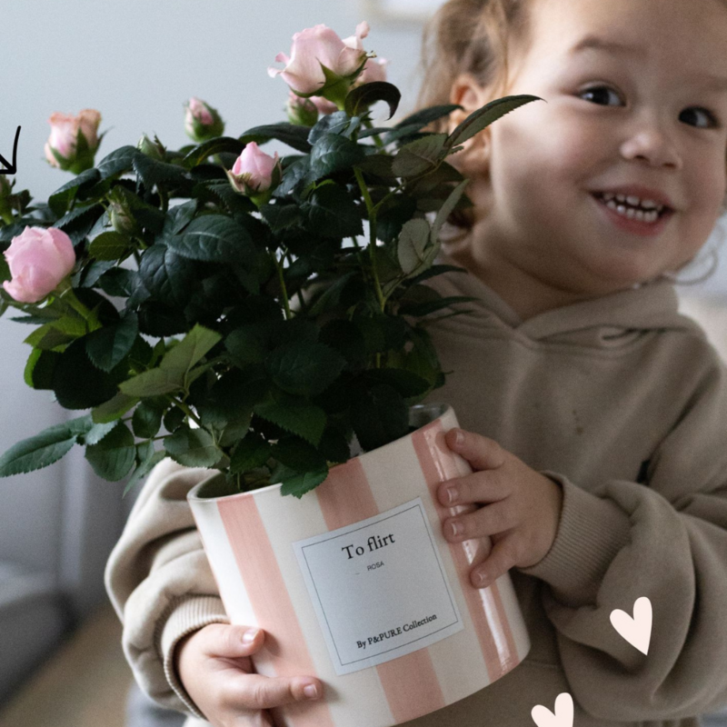 Plantshopper Afbeelding