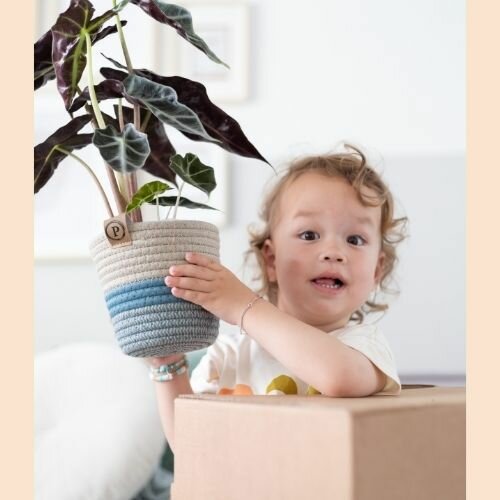 Plantshopper Afbeelding