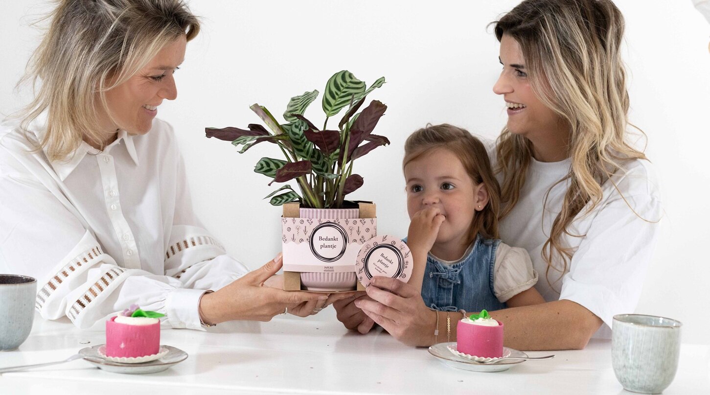Plant cadeaus