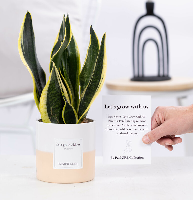 Plantshopper Afbeelding