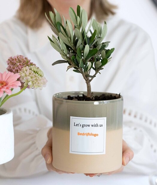 Plantshopper Afbeelding