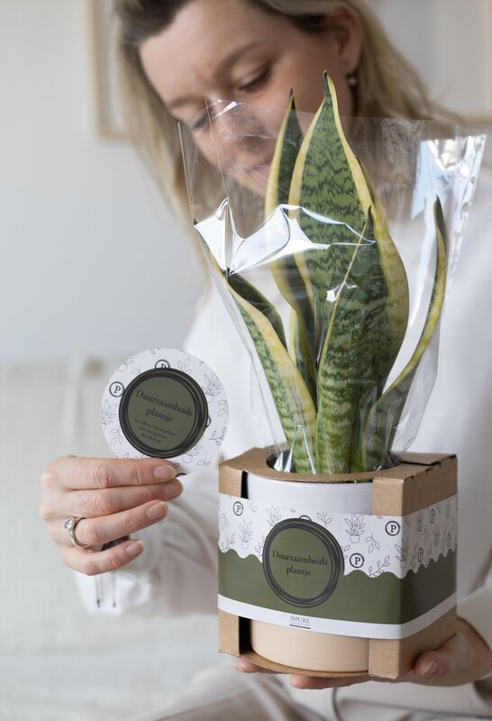 Plantshopper Afbeelding